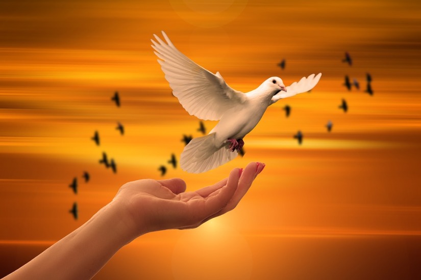 Pray Peace God Dove Soul Hand Prayer Trust